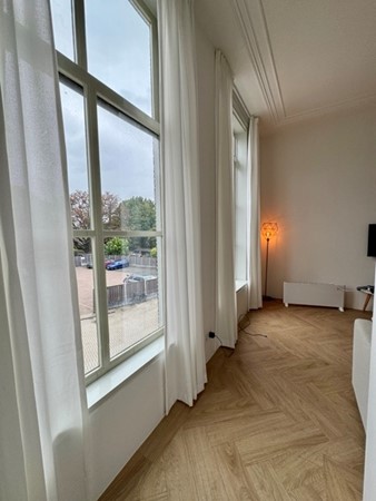 IMG_1138 Medium.jpeg